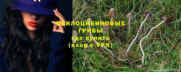 mdpv Балахна