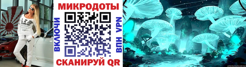 Псилоцибиновые грибы Cubensis  Буинск 